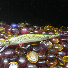 Load image into Gallery viewer, Stoneman &amp; sons 110 jerk bait
